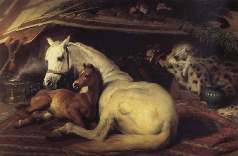 Sir Edwin Landseer The Arab Tent oil painting image